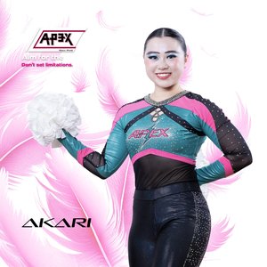 Akari